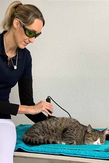 Tierärztin Schönenstein bei der Behandlung