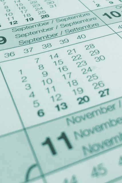 Termin und Kontaktmöglichkeiten (Tierarztpraxis Schönenstein)