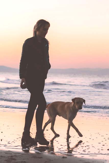 Verhaltenstherapie Tierarztpraxis Schönenstein